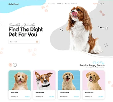 Ecom Portfolio 2